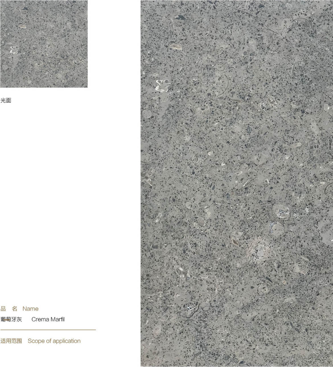 081929gls2sy6y0jvsc0sj.jpg