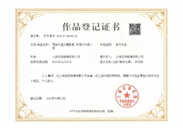 版权登记证
