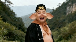 门票：西游观光游.成人基础票